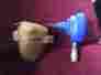 Pn001000rb 1000rb Campbell Hausfeld Air Palm Nailer Model