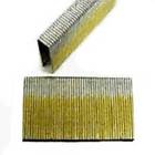 42928131305 718133 National Nail Staple