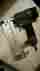 6gb28 Evolv Model Number Craftsman Nailer Craftman 2 Brad 3 19.2 Now 4 Star Rating 18 Gauge Mint
