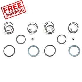 N089668 Zeiboat N078434 2 Set Spring Kits With Steel Ball Fit Dcf885 Dcf886