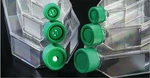 Spl Cell Culture Flask CM2 (T75) Filter Cap, Treated, Sterile, 100/CASE. Fixed Price $138.58.