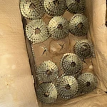 Bostitch CR3DGAL Roofing Nails - With Ridgerunner Nailer. Fixed Price $65.00.